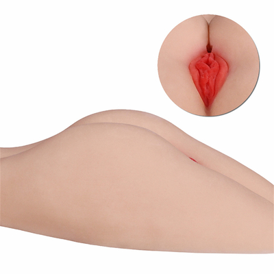 Vente chaude et âne sexy de haute qualité et âne sexy de jouets de vagin grand et gros âne du vagin 3d grand avec le chat serré