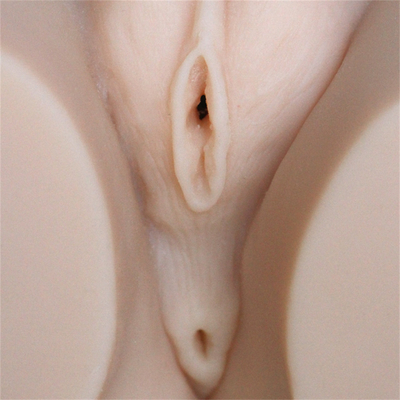 Masturbation de vagin d'âne de sein de Toy Hot Selling Half Body de vrai silicone réaliste grande pour le mâle des hommes