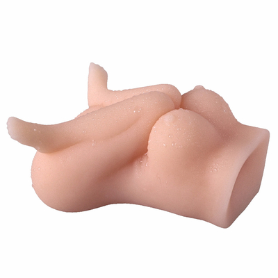 Jouets adultes texturisés réalistes masculins réalistes de sexe de Stroker de vagin et d'anus du chat 3D de poche de Masturbator pour la masturbation des hommes