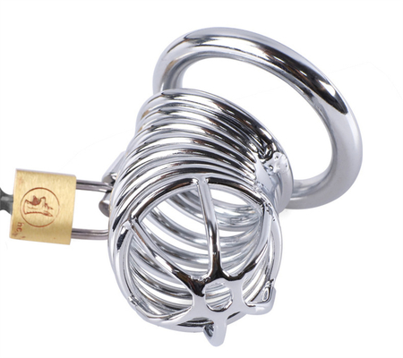Chasteté métallique Pénis Cock Cage Hommes Bondage Pénis verrouillage Chasteté Temps de retard Cages Appareil Pour Homme