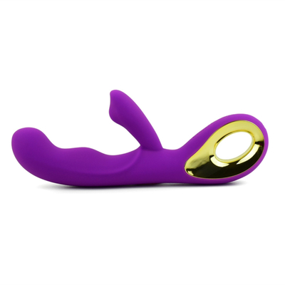Stimulateur du clitoris rechargeable à 10 vitesses Jouet sexuel pour adultes