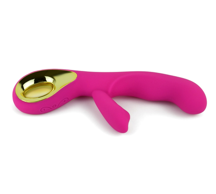 Stimulateur du clitoris rechargeable à 10 vitesses Jouet sexuel pour adultes