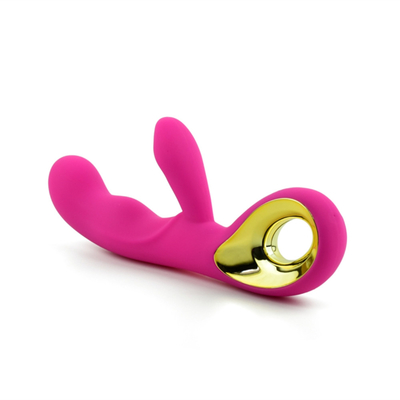 Stimulateur du clitoris rechargeable à 10 vitesses Jouet sexuel pour adultes