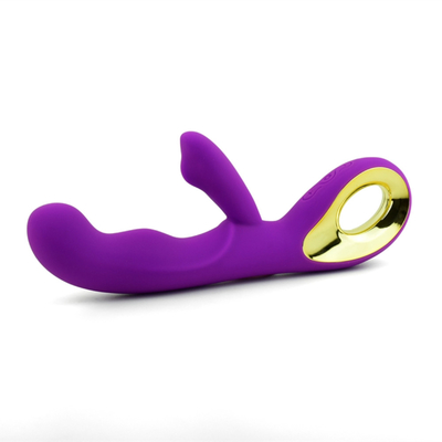 Stimulateur du clitoris rechargeable à 10 vitesses Jouet sexuel pour adultes