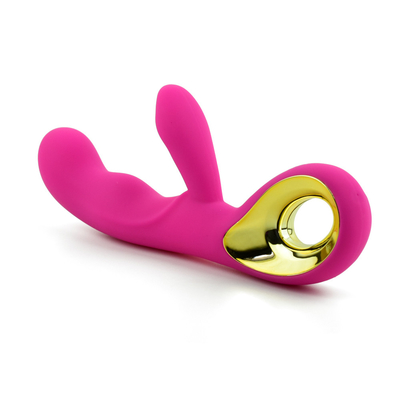Stimulateur du clitoris rechargeable à 10 vitesses Jouet sexuel pour adultes