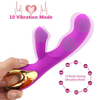 Stimulateur du clitoris rechargeable à 10 vitesses Jouet sexuel pour adultes