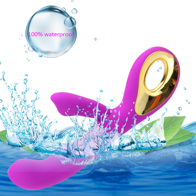Stimulateur du clitoris rechargeable à 10 vitesses Jouet sexuel pour adultes