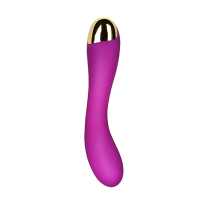 10 vitesses Vibrator de clitoris USB rechargeable Vibrator de clitoris pour les femmes