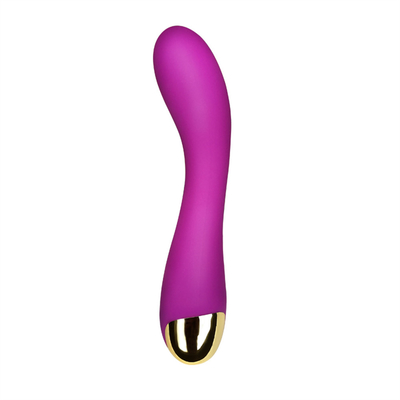 10 vitesses Vibrator de clitoris USB rechargeable Vibrator de clitoris pour les femmes