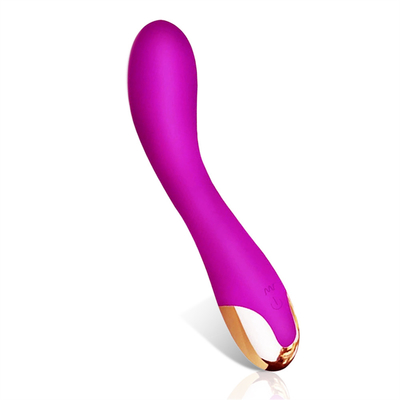 10 vitesses Vibrator de clitoris USB rechargeable Vibrator de clitoris pour les femmes