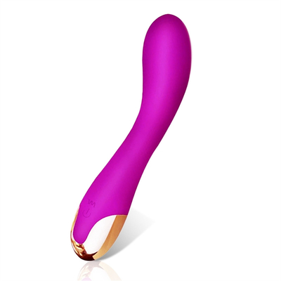 10 vitesses Vibrator de clitoris USB rechargeable Vibrator de clitoris pour les femmes