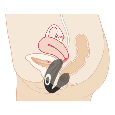 Vibrator à point G rechargeable étanche à l'eau Vibrator à clitoris anal pour femme FOB Prix de référence: Obtenez le dernier prix
