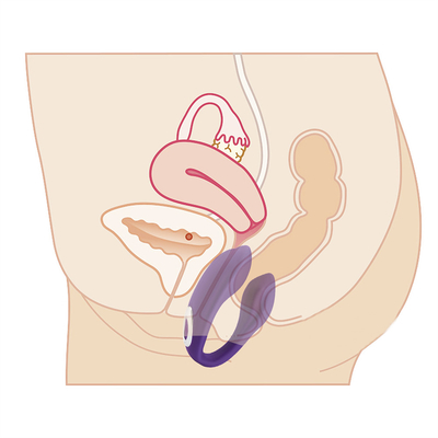 Vibrator à point G rechargeable étanche à l'eau Vibrator à clitoris anal pour femme FOB Prix de référence: Obtenez le dernier prix
