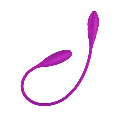 Vibrateur anal double 6 vitesses Vibrateur à point G œufs Vibrateur clitoridien rechargeable pour couple