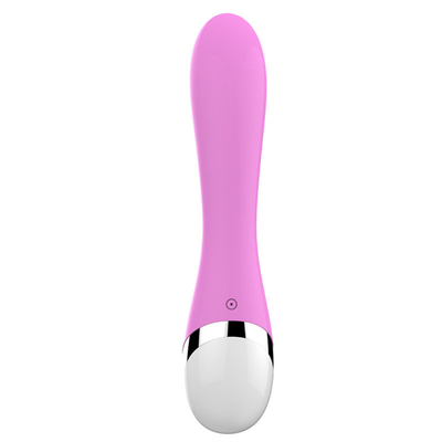 10 vitesses de silicone médical jouets sexuels rechargeables vibrateur féminin