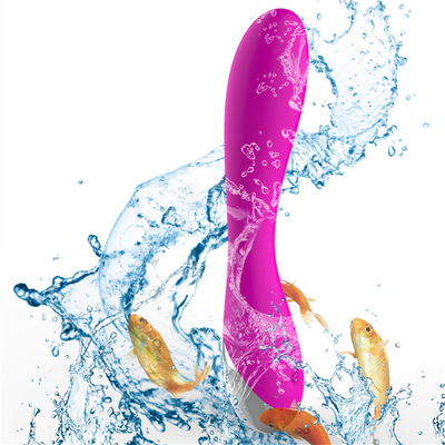 10 vitesses de silicone médical jouets sexuels rechargeables vibrateur féminin