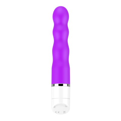 10 Fréquences de vibration Jouets sexuels pour femme Jouets sexuels Vibrateur à point G Vibrateurs mini-balles pour adultes