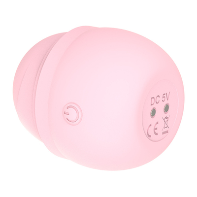 Rechargeable étanche à l'eau silicone mamelons suceurs de jouets sexuels vibrateur vaginal vibrateur suceur du clitoris pour les femmes