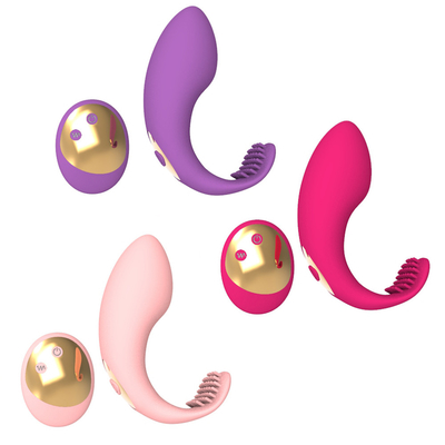10 vitesses charge USB télécommande Dildo portable Masturbation culottes Vibrator pour femme