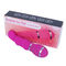 USB chargeant le sexe vibrant Toy Women Vibrator For Women de vagin de godemiché de 12 fréquences